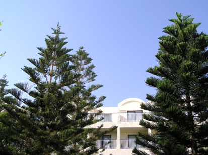Vacances Crète 2008 -066.JPG